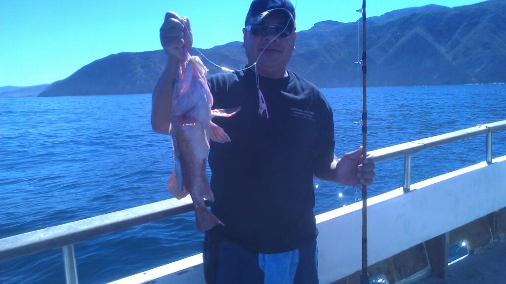 Rock fishing on the Cobra Channel islands Sportfishing