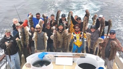 Read more about the article Fish Report for Channel Islands Sportfishing 3/19/17