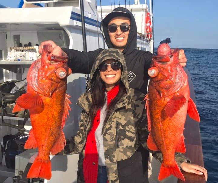 Channel Islands Fishing Rock Fish