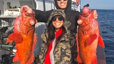 Read more about the article Rockfish Season 2019 ends December 31
