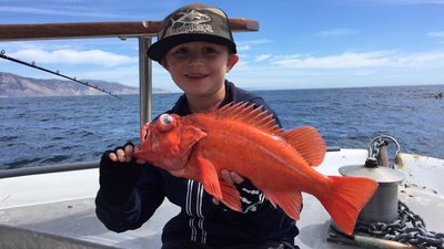 Read more about the article Fishing Season opens on March 1st in the Channel Islands