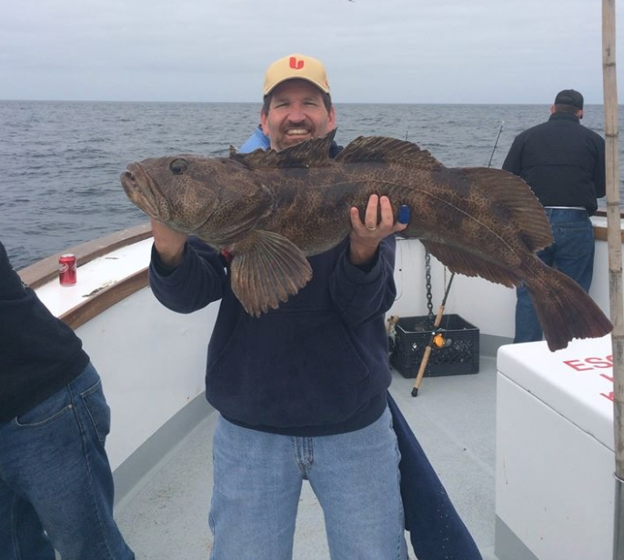 Ling Cod Ranger 85 Channel Islands Sportfishing