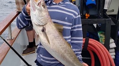 You are currently viewing White Seabass Fishing – Channel Islands, Oxnard