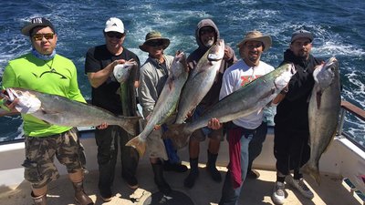 Read more about the article Channel Islands Sportfishing Report – White Seabass and Rockfishing
