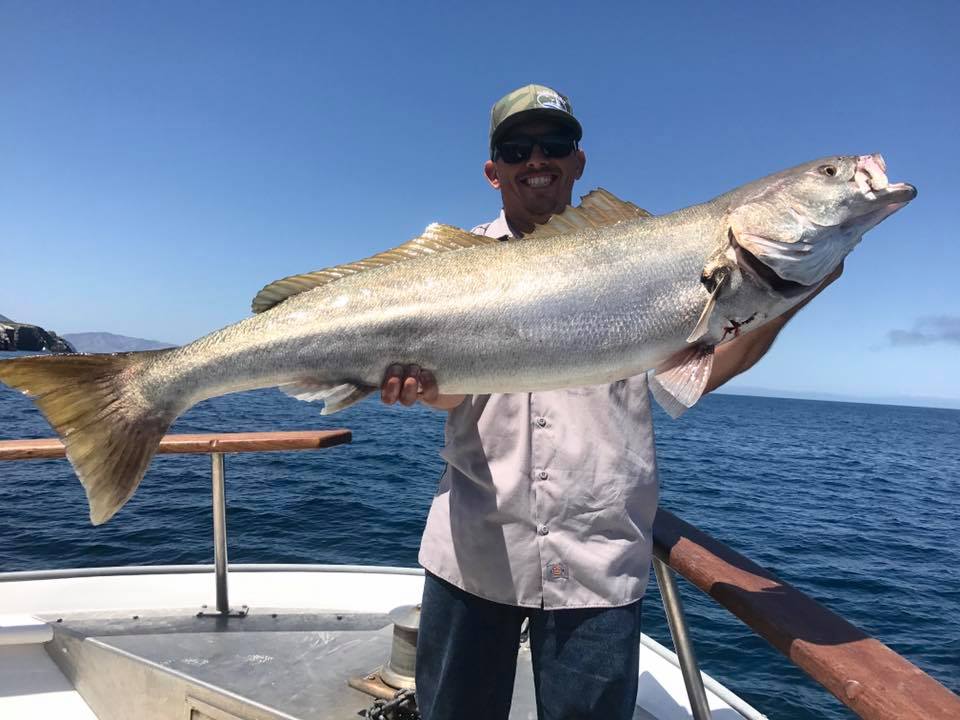 Good fishing for Rockfish along with a few White Seabass – Channel Islands  Sportfishing