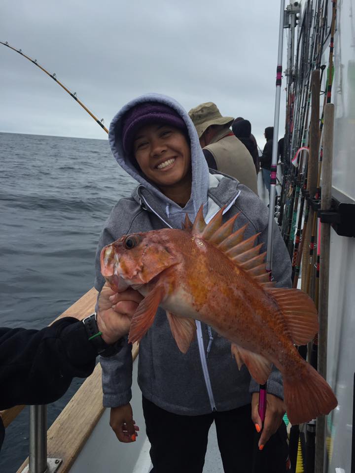 Pacific Islander and Seeker Fishing Rods – Channel Islands Sportfishing