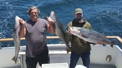 You are currently viewing Rare Opah caught this week at the Channel Islands