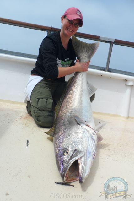 World Record White Seabass Channel Islnads