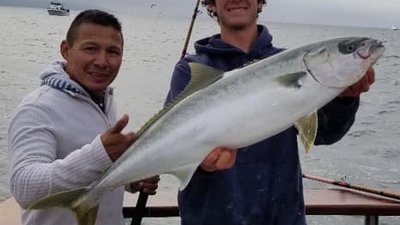 Read more about the article Spring Fishing in the Channel Islands – White Seabass, Yellowtail, Halibut & Rockfish