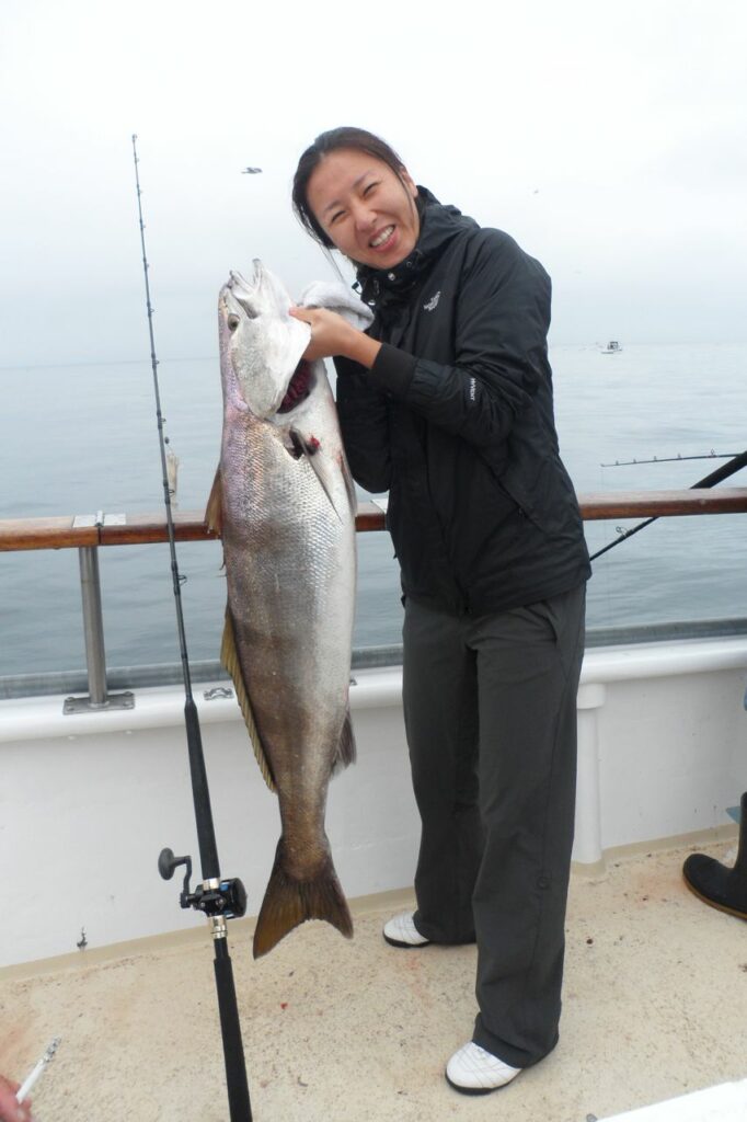 White seabass are biting!