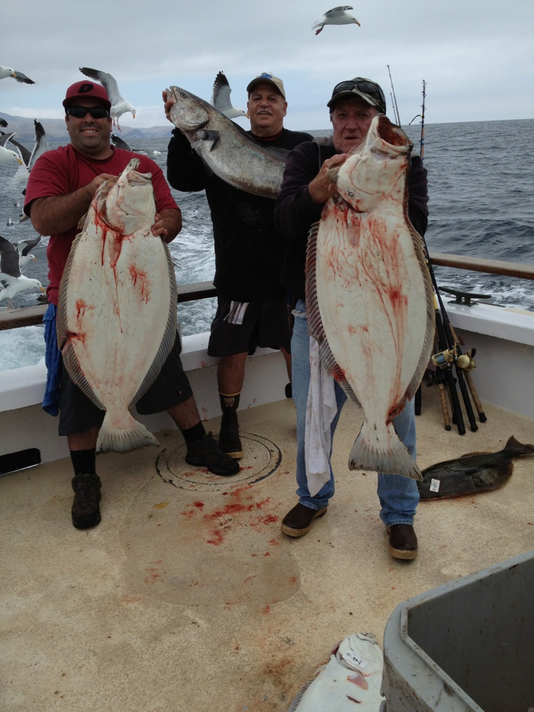 Fishing Halibut and White Seabass with Sea Jay Sportfishing