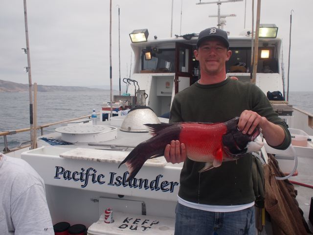 Fishing the Pacific Islander Sheephead