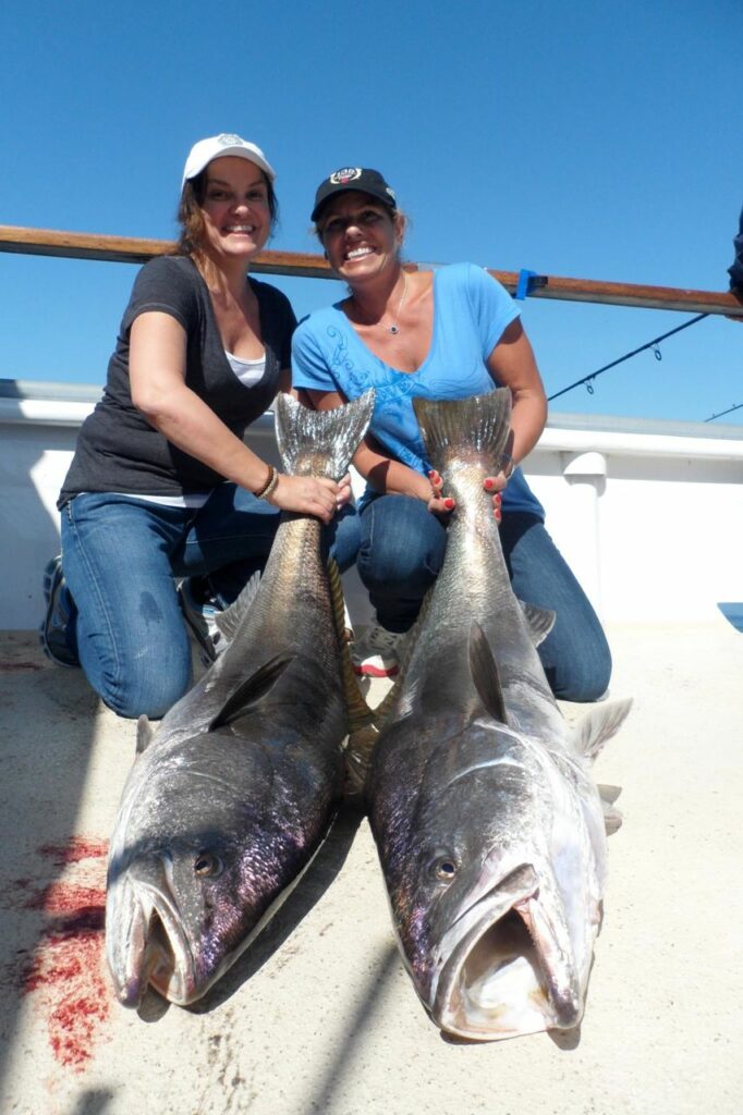 Aloha Spirit Sportfishing - Channel Islands Sportfishing Center - White Seabass Fishing