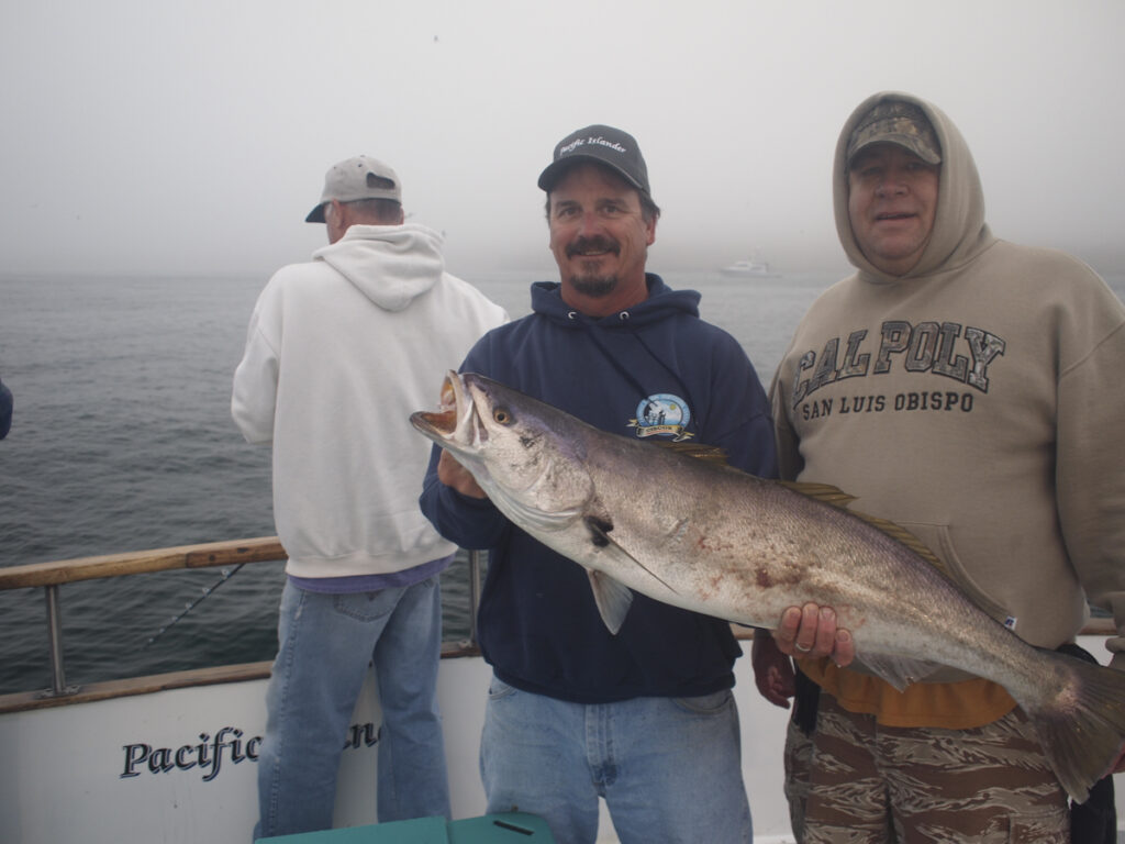 Fishing White Seabass on the Pacific Islander