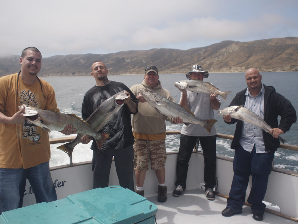 Fishing White Seabass on the Pacific Islander