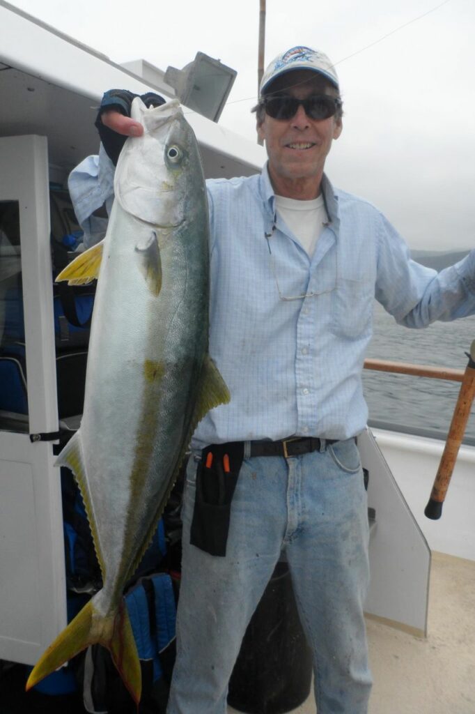Yellowtail Aloha Spirit Channel Islands Sportfishing