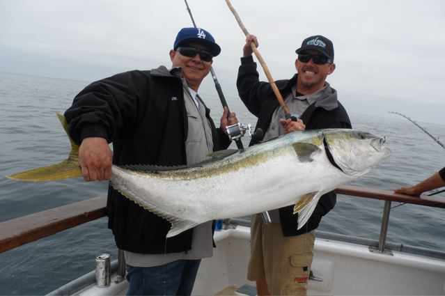 Aloha Spirit Sportfishing YellowTail Channel Islands Sportfishing