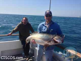 White Seabass fishing
