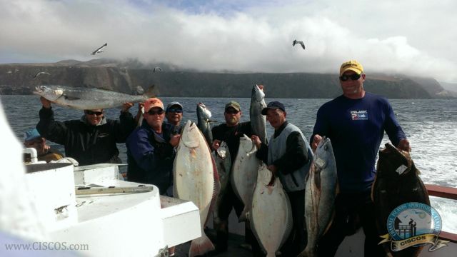 Big Game fishing on the Coral Sea Channel Islands