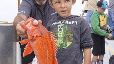 Read more about the article Fishing Report for Channel Islands Sportfishing 6/26/16