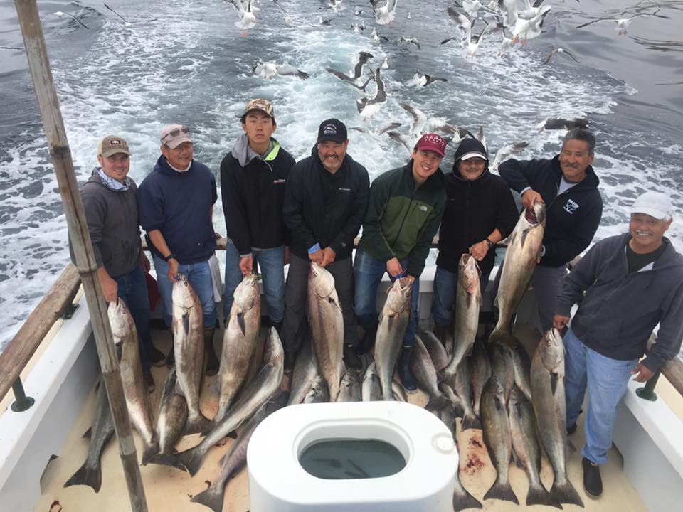 White Seabass Fishing is off the charts! – Channel Islands
