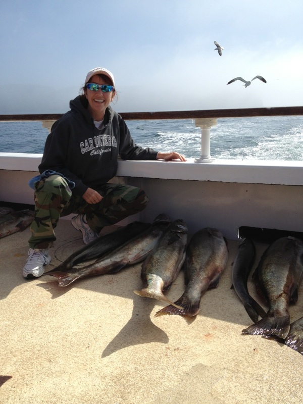 White Seabass on the Sea Jay Channel Islands Sportfishing