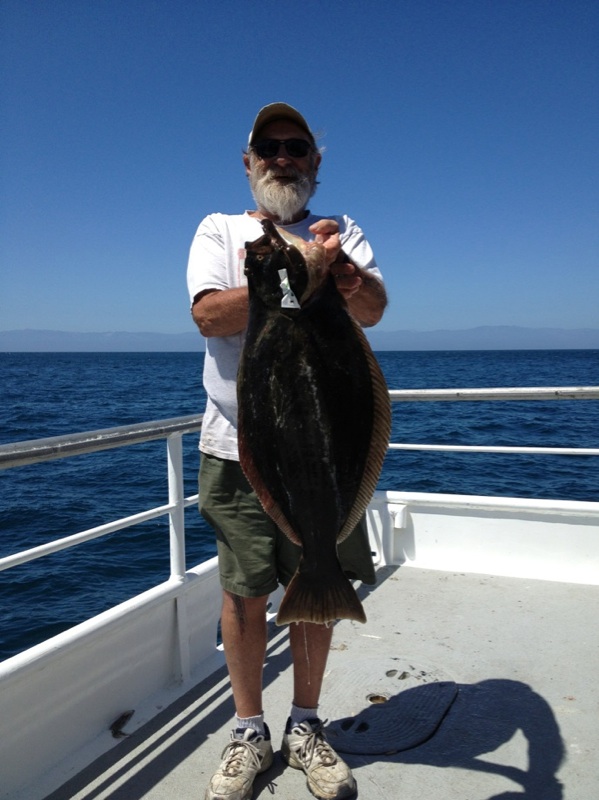 Speed Twin Sportfishing Channel Islands Halibut