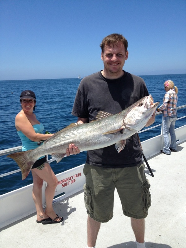 Speed Twin Sportfishing Channel Islands White Seabass