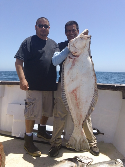 Halibut – Channel Islands Sportfishing