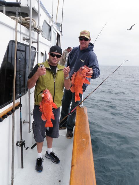 Channel Islands Sportfishing Rock Fish on the Erna B