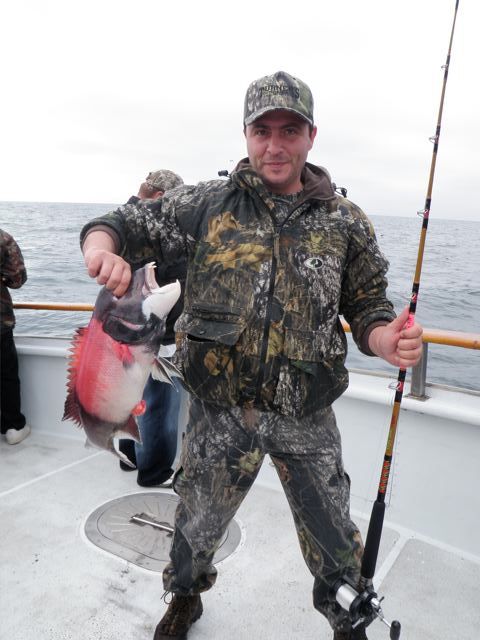 Channel Islands Sportfishing Sheephead on the Erna B