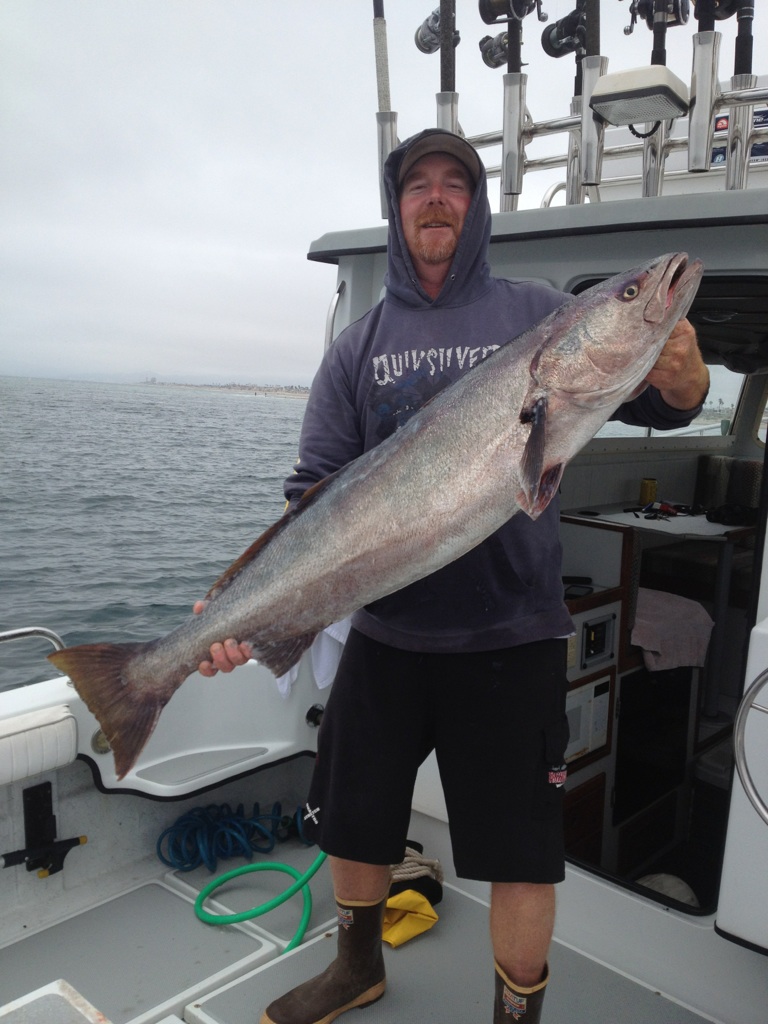 White Seabass Channel Islands Sportfishing Center