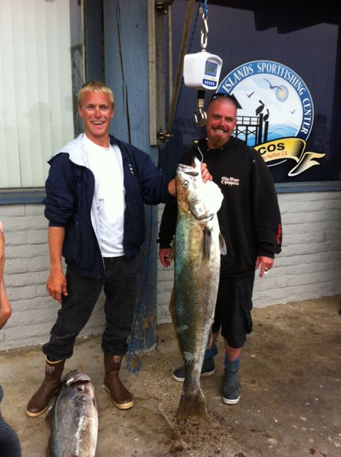 Coral Sea White Seabass IGFA Weigh Station Channel Islands Sportfishing