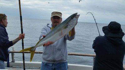 Read more about the article Yellowtail fishing was hot this week! Fish Report for week ending 7/10/16