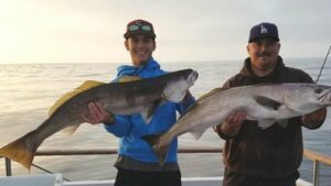Read more about the article White Seabass continue to bite. Surface Fishing heats up!