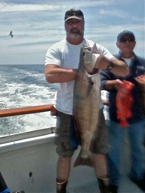 Erna B Sportfishing White Sea Bass
