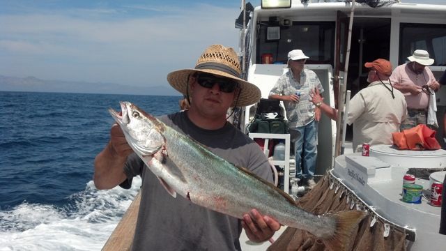 Pacific Islander White Seabass Fishing Channel Islands