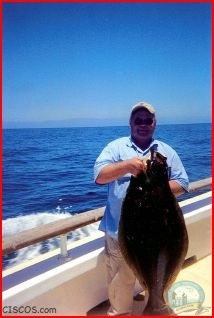 California Halibut