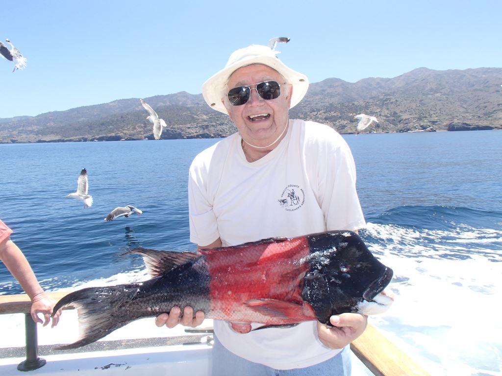 Sheephead fishing on the Sea Jay Channel Islands