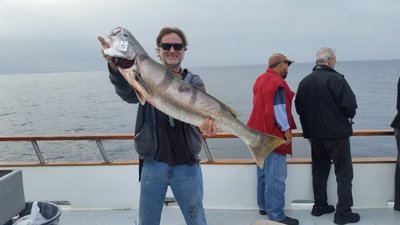 You are currently viewing Summer fishing continues consistent in the Channel Islands