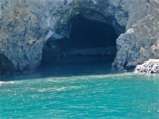 i Tour Anacapa Island Channel Islands Whale Watching