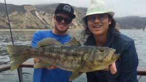 Read more about the article Channel Islands Fishing Yellowtail and Calico Bass