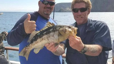 Read more about the article August Fishing in the Channel Islands. Fish for a variety