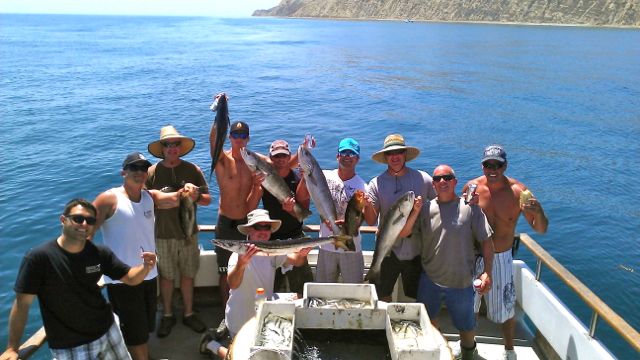Cobra Sportfishing White Seabass Channel Islands Fishing