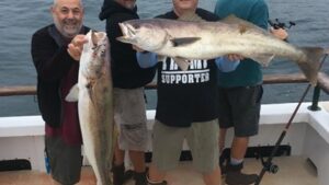 Read more about the article Fishing Channel Islands and the Yellowtail bite is good!