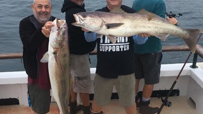 Read more about the article Fishing Channel Islands and the Yellowtail bite is good!