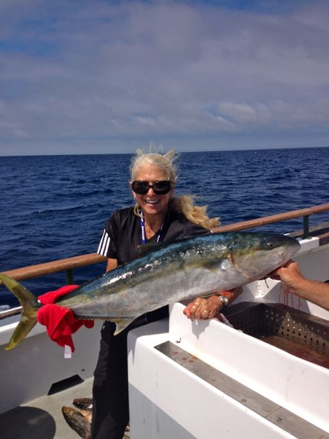 Yellowtail fishing