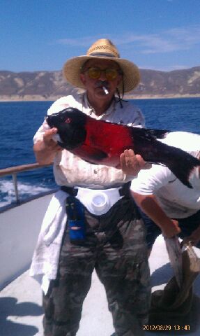 Pacific Islander Sheephead fishing Channel Islands