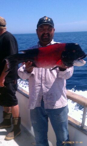 Pacific Islander Sheephead fishing Channel Islands