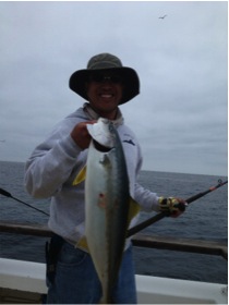 Sea Jay Yellowtail fishing Channel Islands